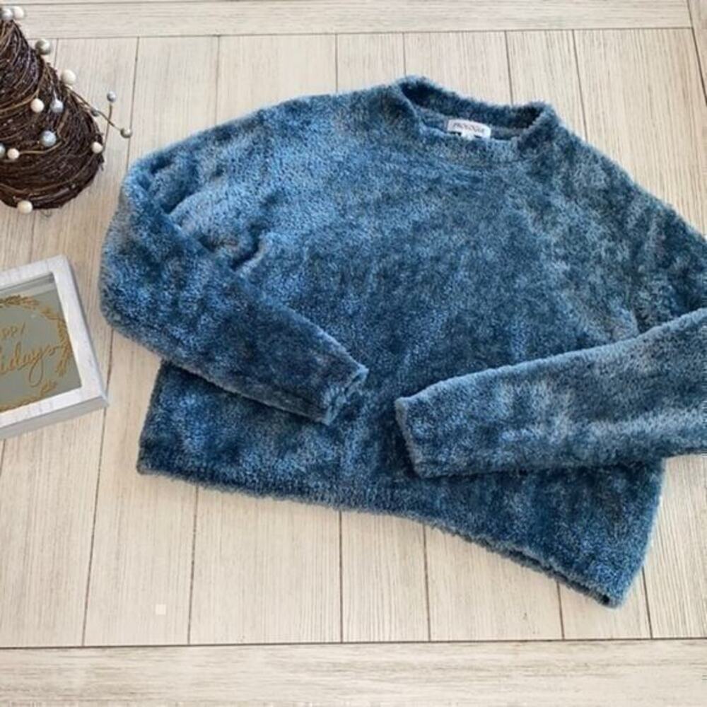 Prologue green/blue long sleeve crop Sherpa style sweatshirt size xsmall NWOT